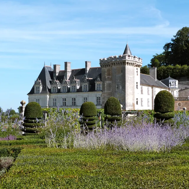 Λεβάντα και πυξάρια μπροστά από το Château de Villandry